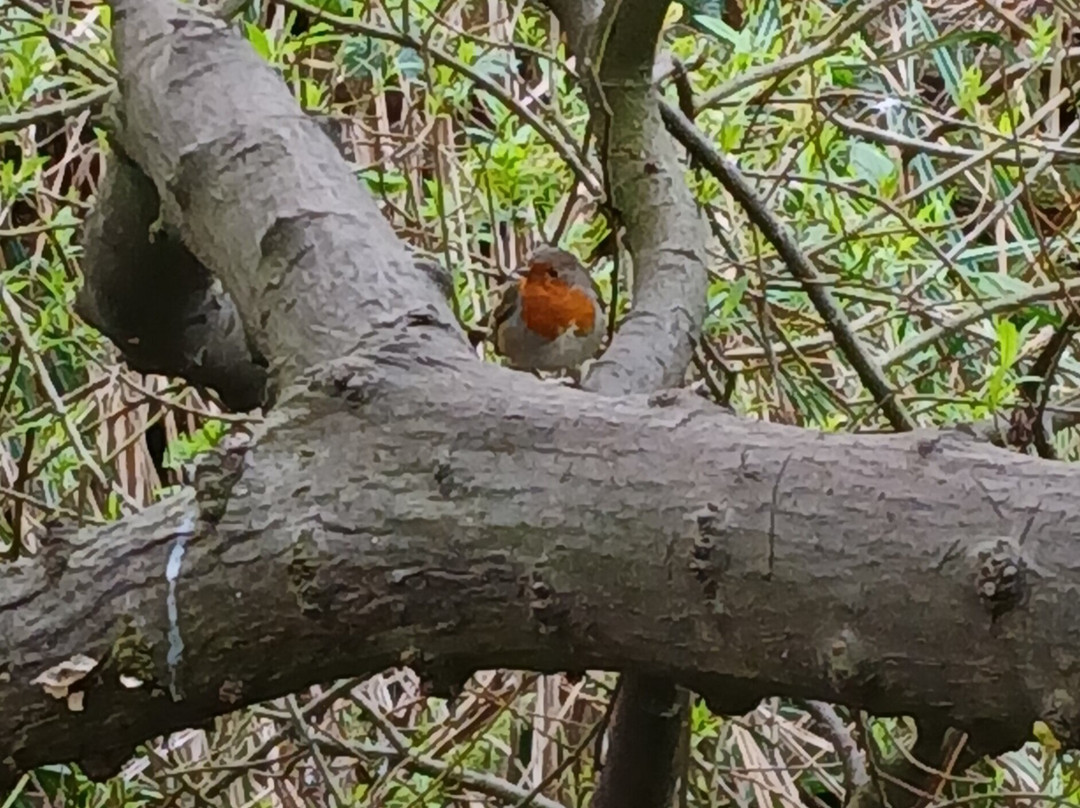 皮斯霍姆公园-斯卡伯勒必去景点
