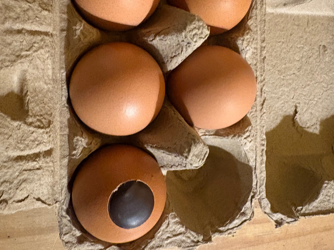 Les Fermes De Gally-圣西尔-莱科勒必去景点