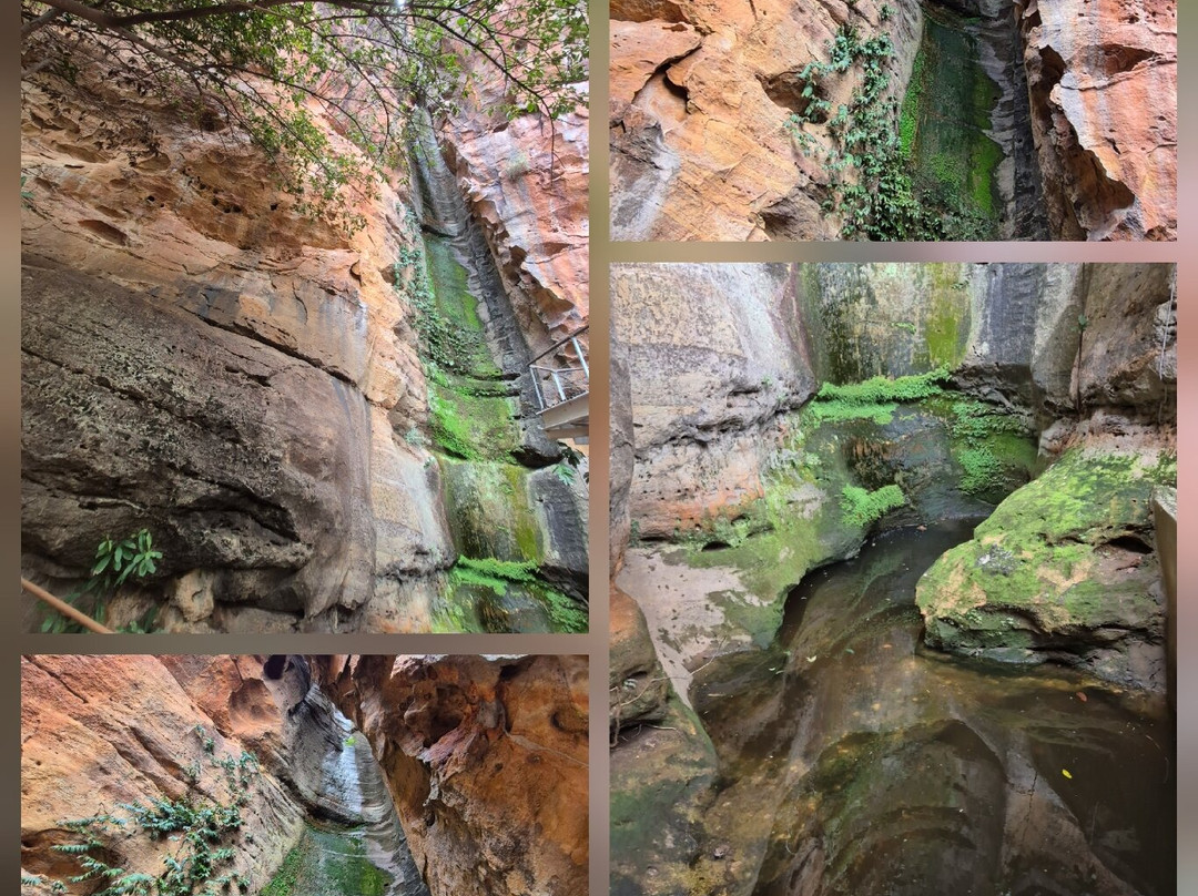 卡皮瓦拉山国家公园-Serra da Capivara National Park必去景点