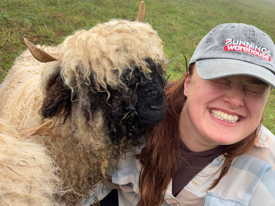 Kenzell Farm-Oberon必去景点