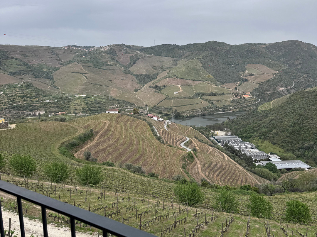 Quinta de Santa Eufémia-Lamego必去景点