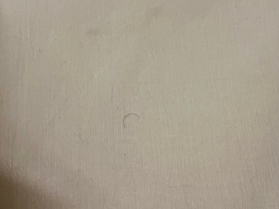 巴黎紫丁香门民宿酒店主图