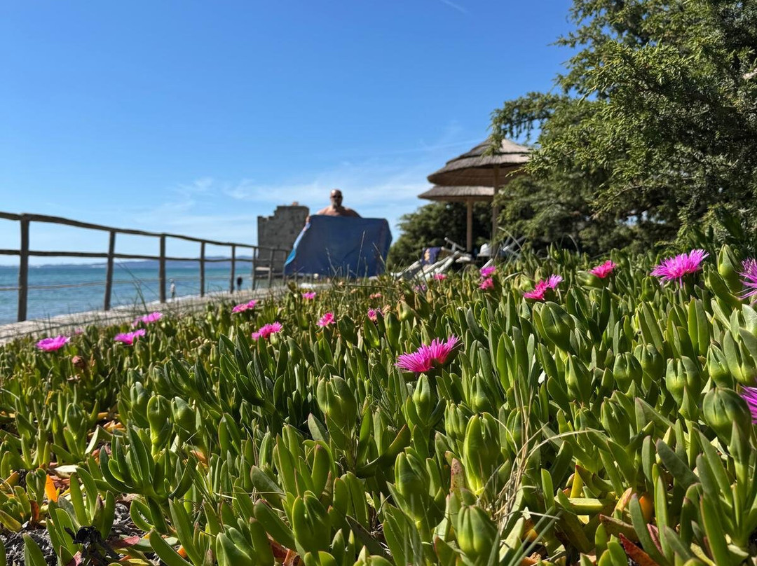 Torre Mozza - Dimora d' Epoca主图