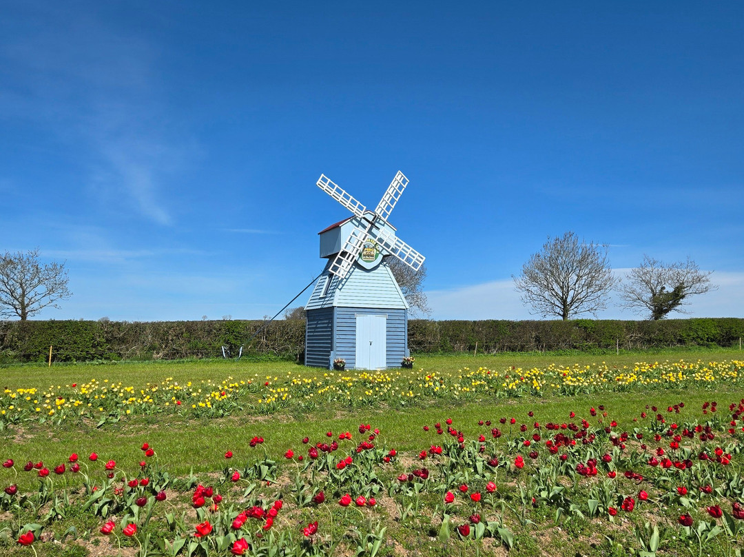 Cornish Maize Maze-Pillaton必去景点