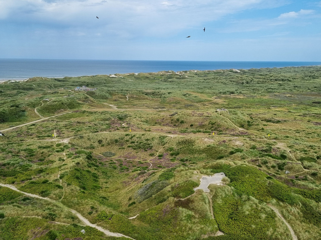 Blåvandshuk Fyr-Blaavand必去景点