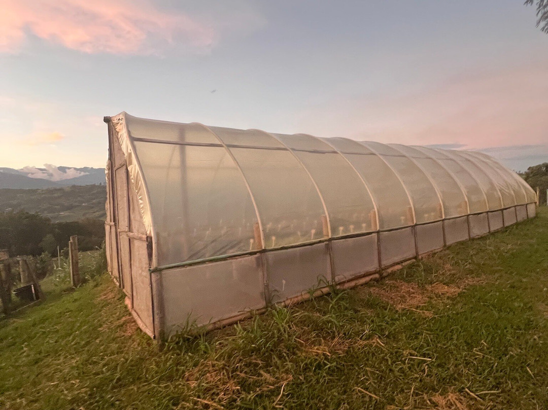 La Huerta Hotel主图