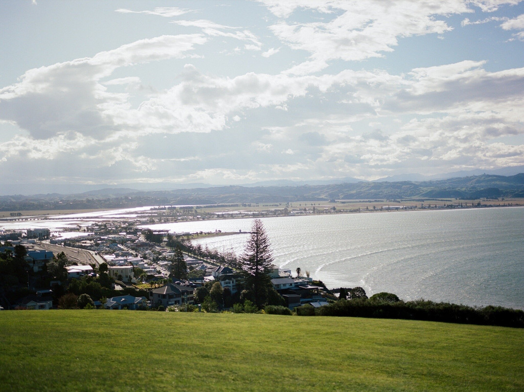 Bluff Hill Lookout-纳皮尔必去景点