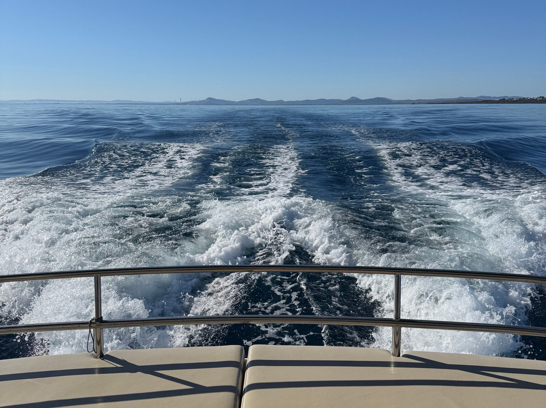 Futurismo - Escursioni Asinara-斯廷蒂诺必去景点