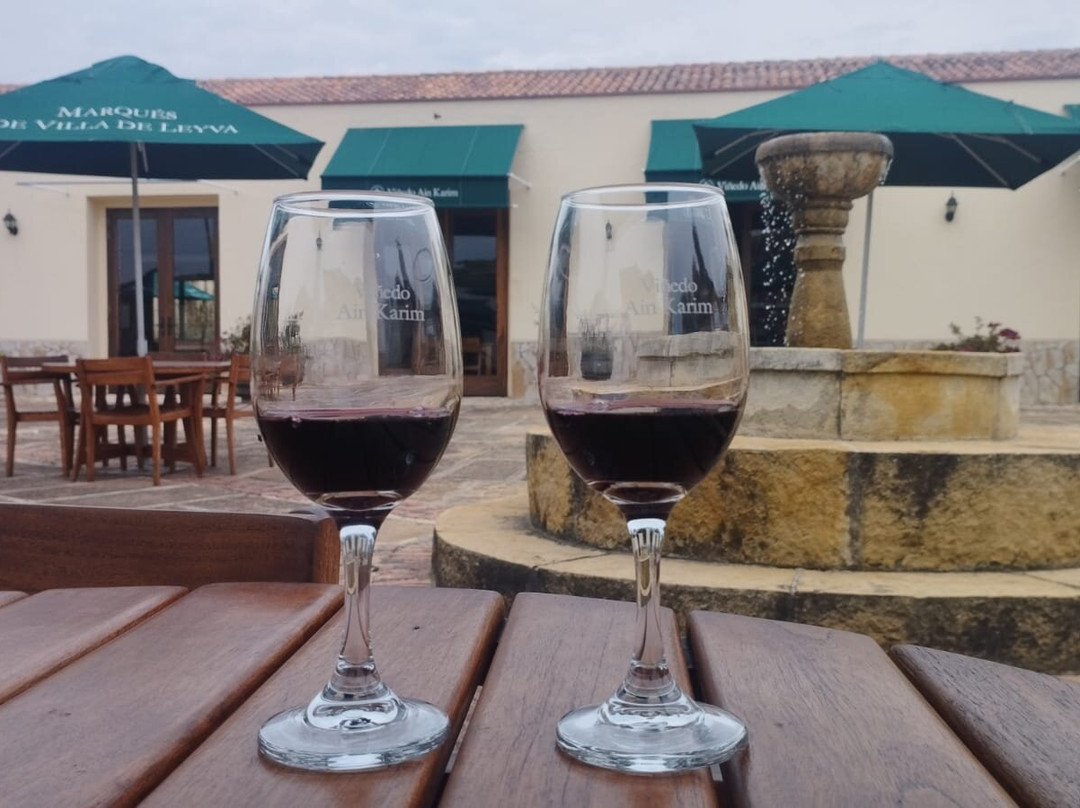 Viñedo Ain Karim-莱瓦镇必去景点