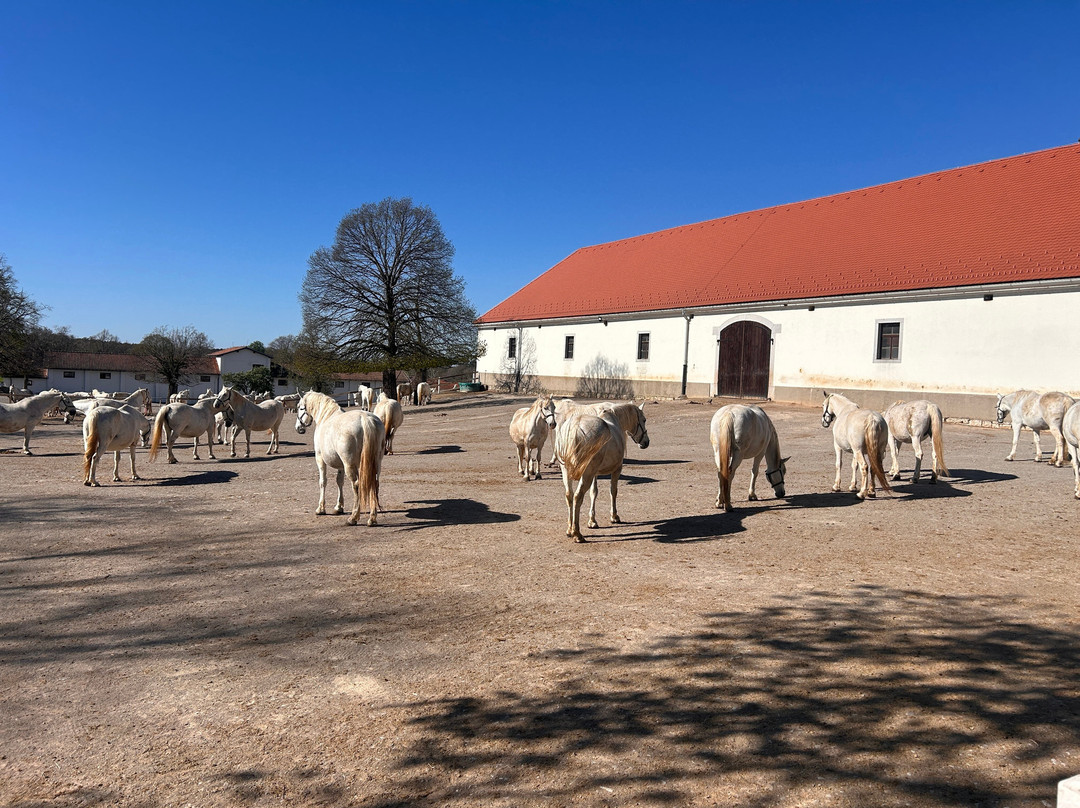 Lipica Stud Farm - Kobilarna Lipica-Lipica必去景点