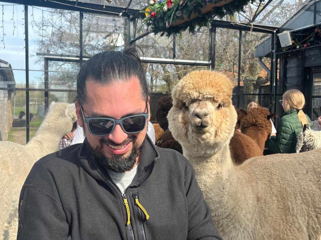 Alpaca Eco Farm-Egmond aan den Hoef必去景点
