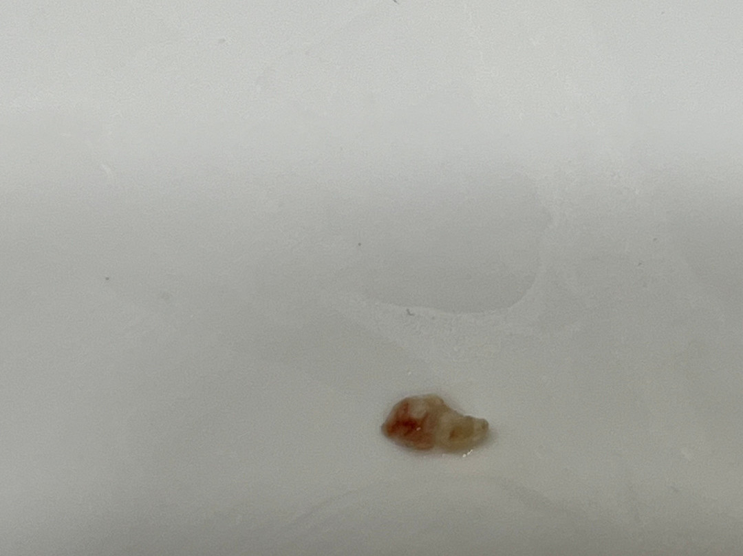 罗杰斯温德姆美吟温德姆酒店主图