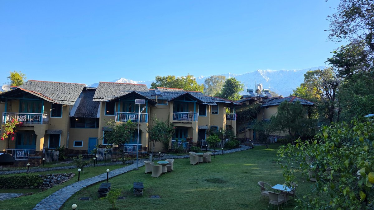 Tree of Life Birdsong Chalets-旅行者