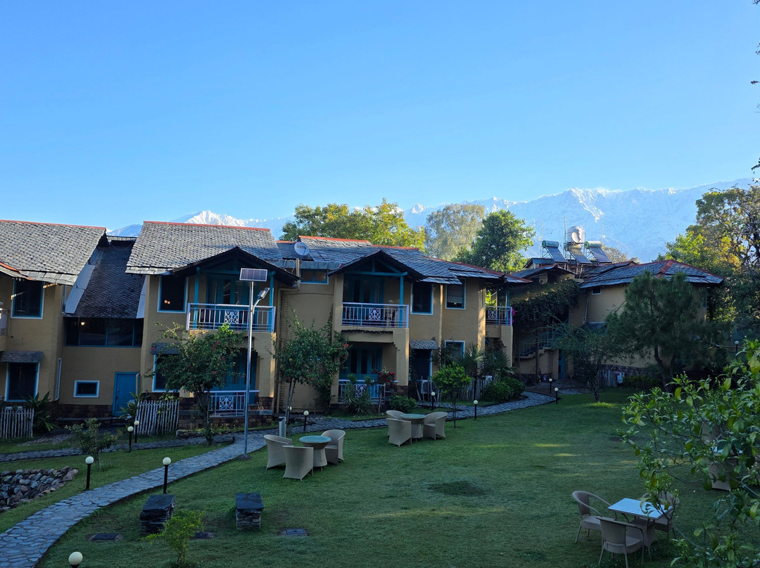 Tree of Life Birdsong Chalets主图