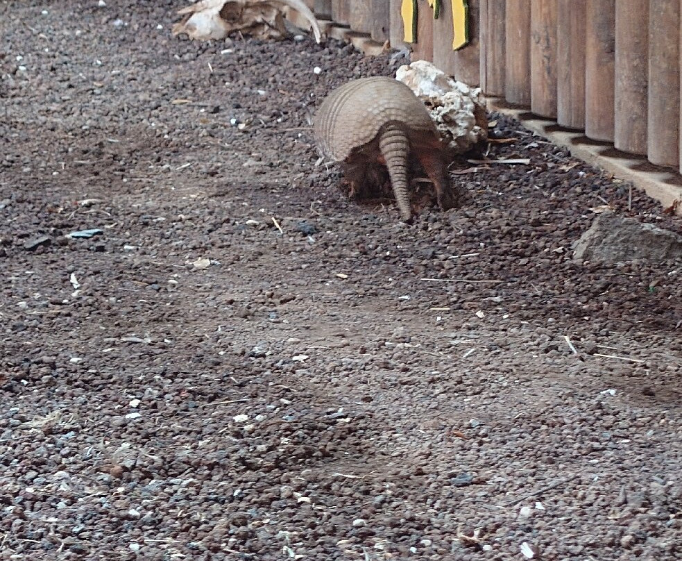 帕尔米图斯动植物园-马斯帕洛马斯必去景点