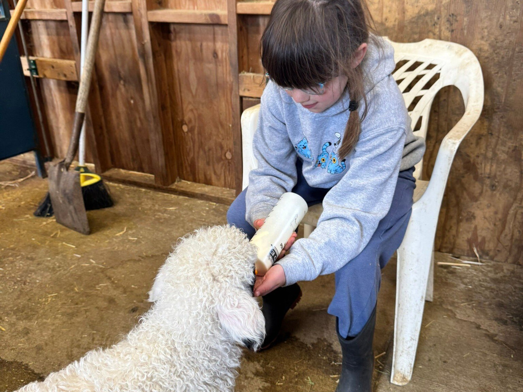 Amaro Farm-星期五港湾必去景点