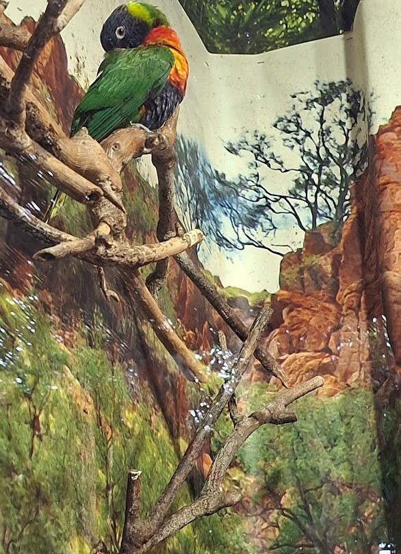 Casa delle Farfalle-Bordano必去景点