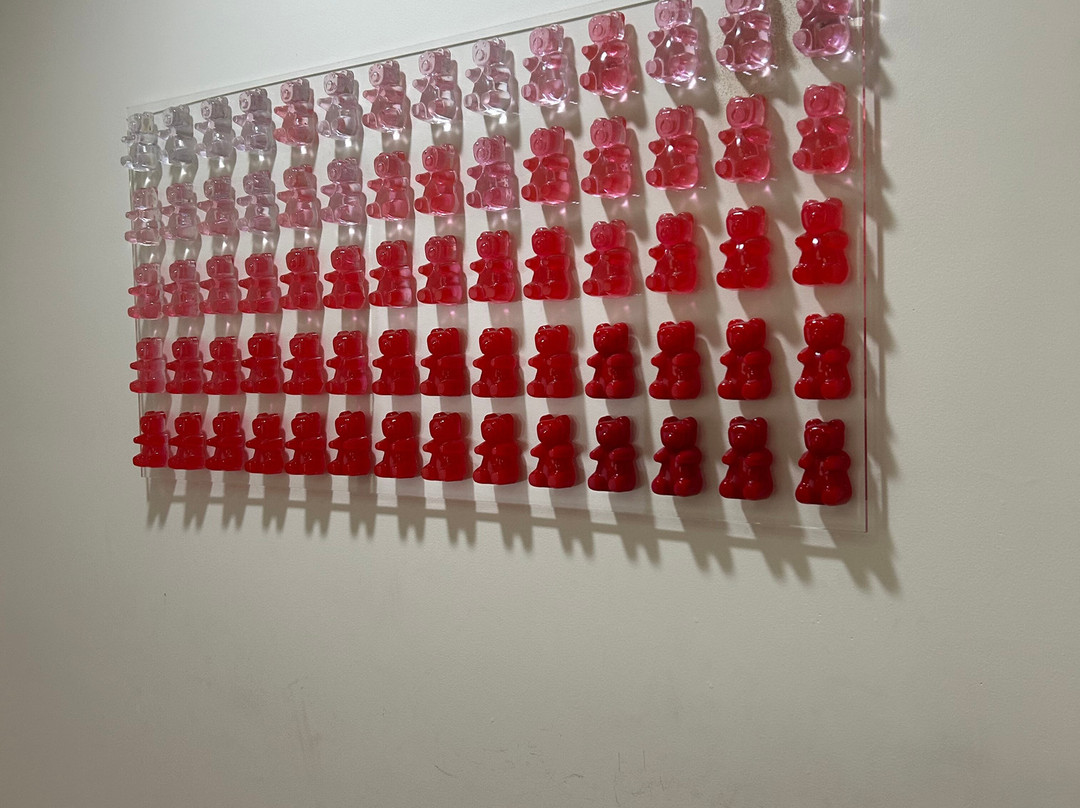 BOB酒店塔拉哈西主图