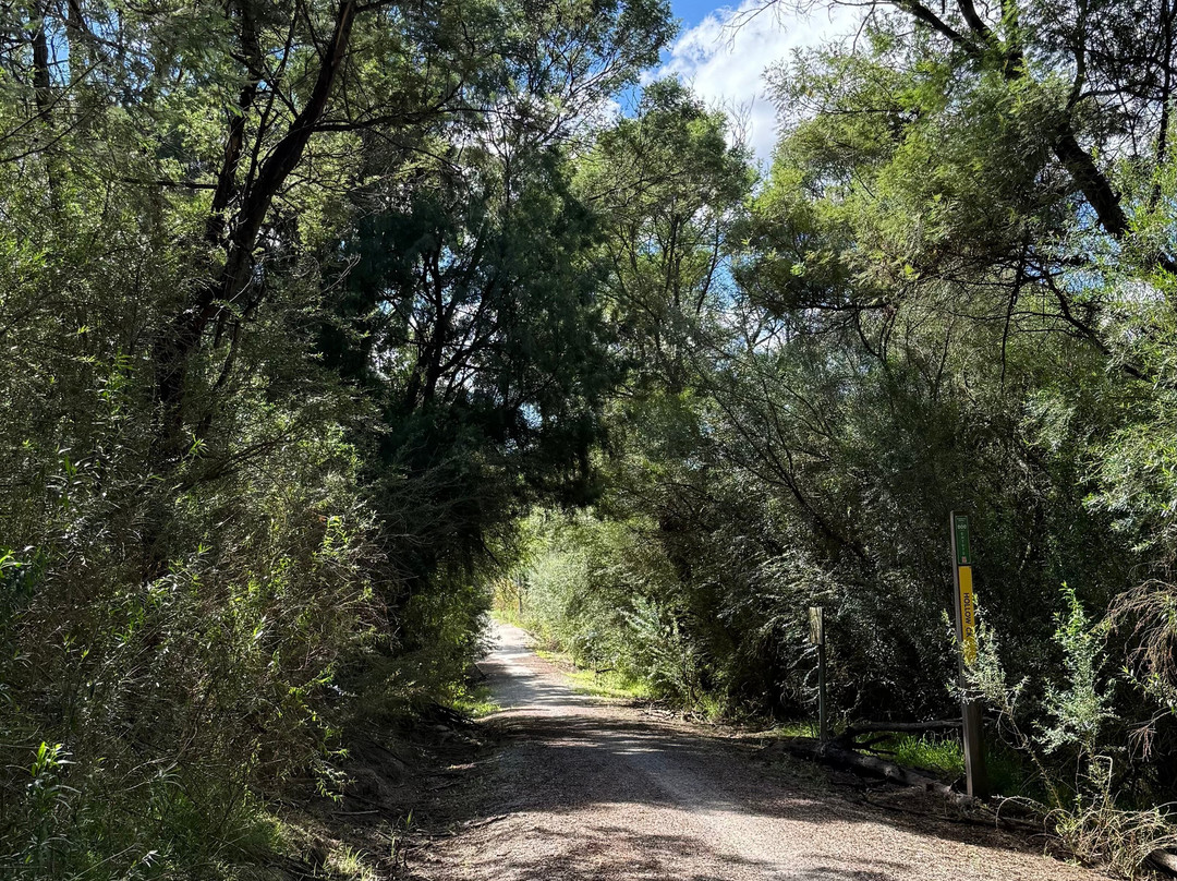 Snowy River Cycling Rail Trail Tours-Orbost必去景点