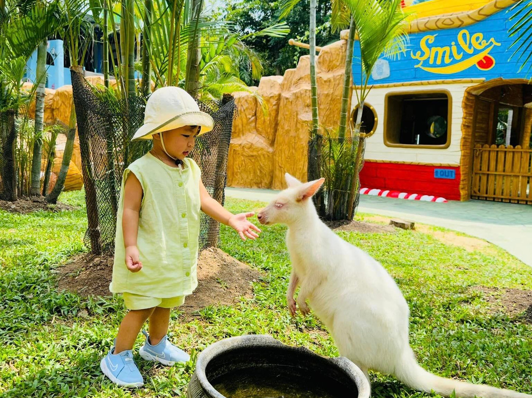 Veneto-愿拼县必去景点