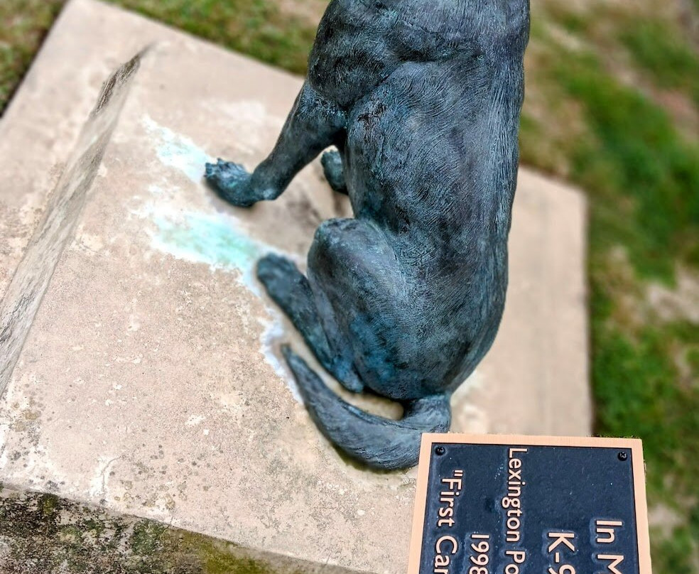 Lexington Paw Park-列克星敦必去景点
