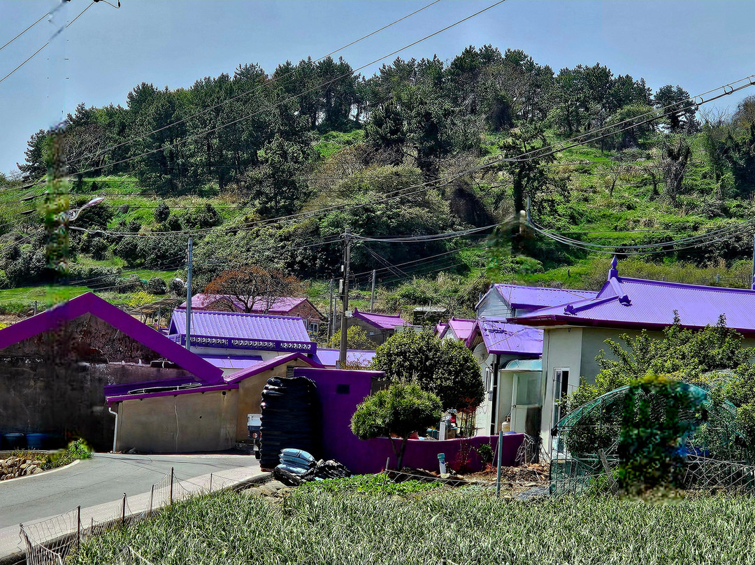 Purple Island-新安郡必去景点