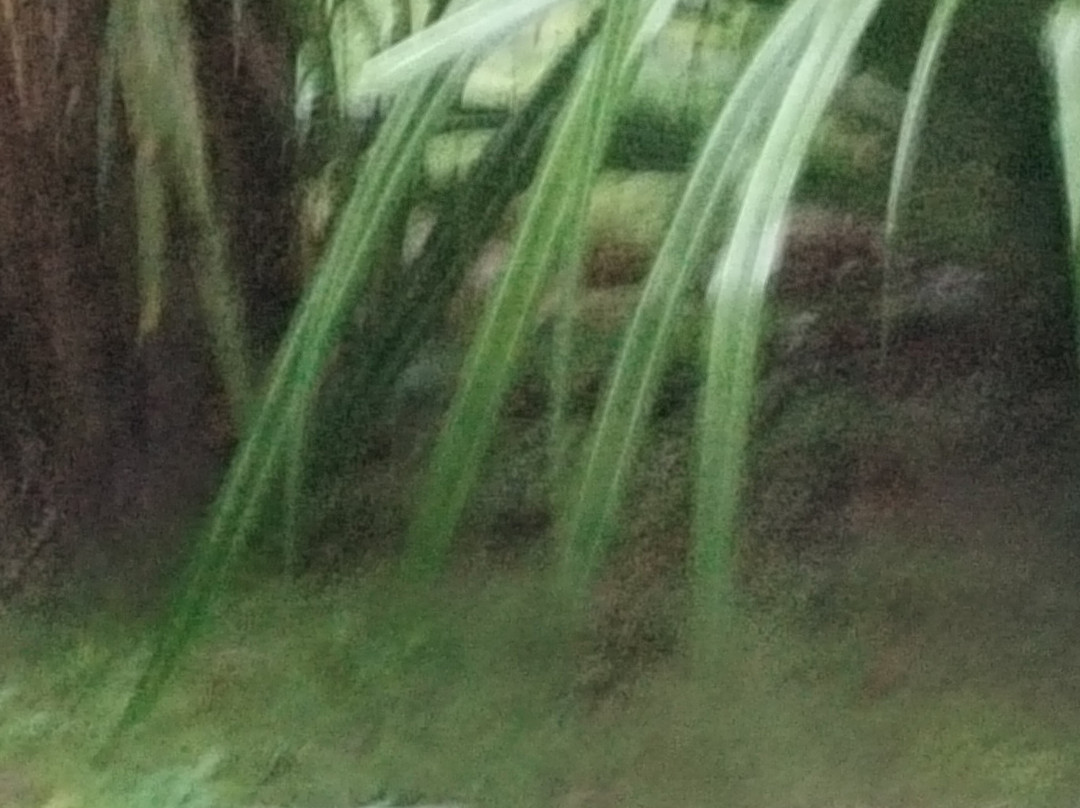 风景优美的普那凯基酒店主图