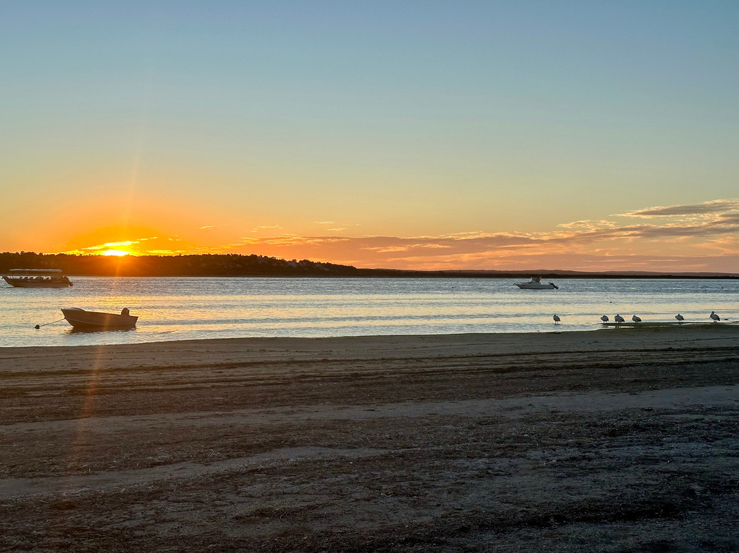 Baird Bay Experience-Bairds Bay必去景点