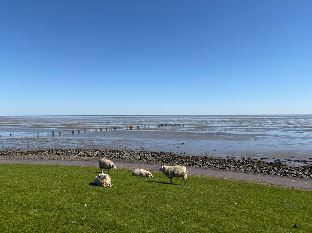 Puur Terschelling-Terschelling必去景点