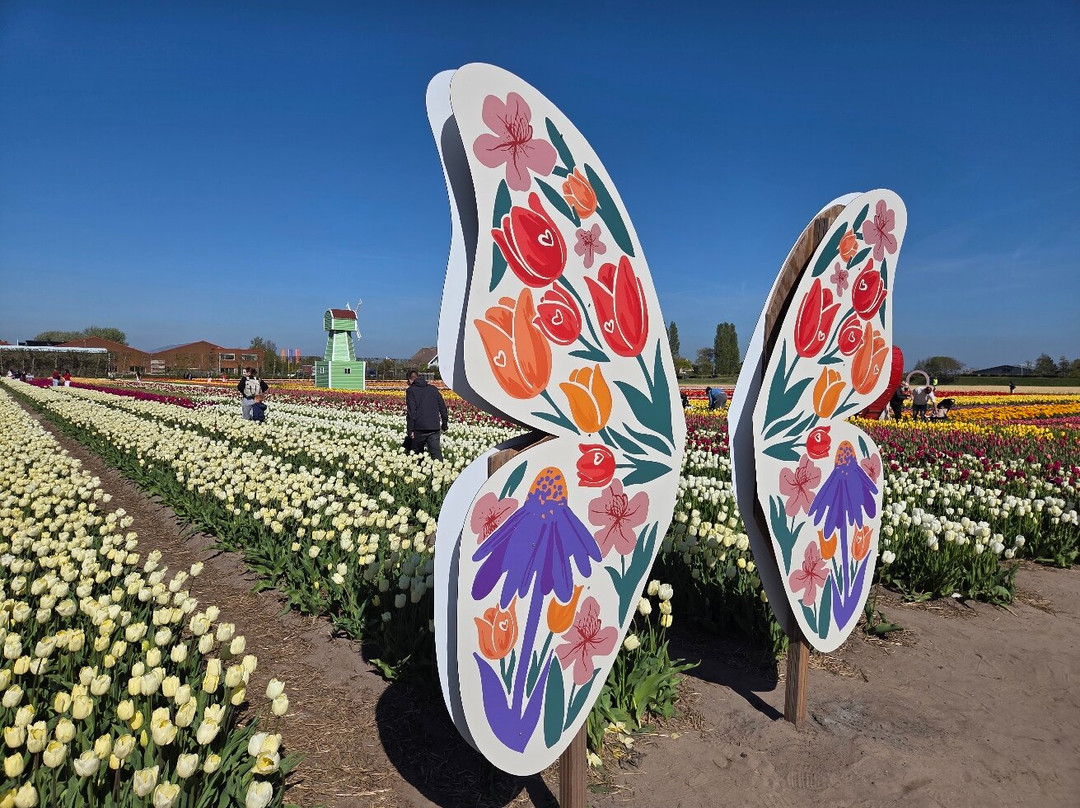 The Tulip Barn-Hillegom必去景点