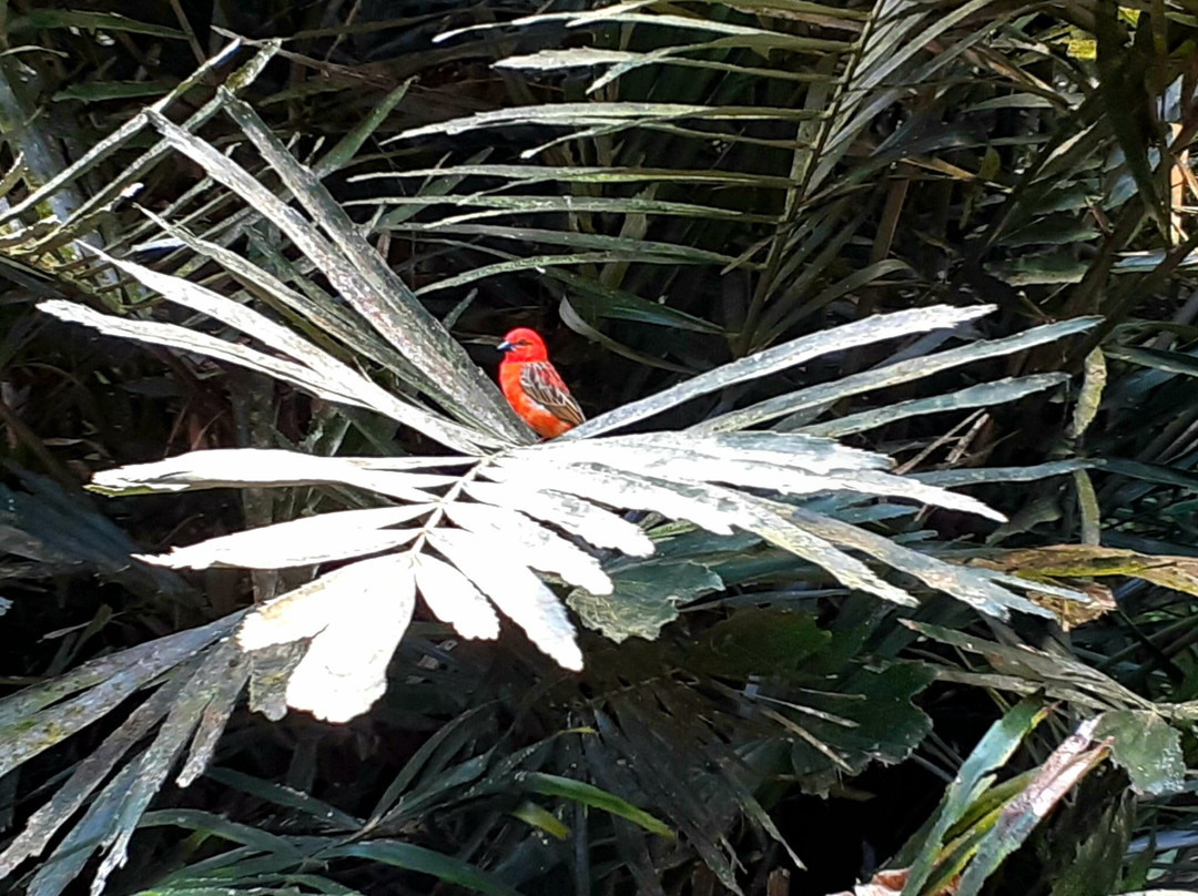 Zoo Leipzig-莱比锡必去景点