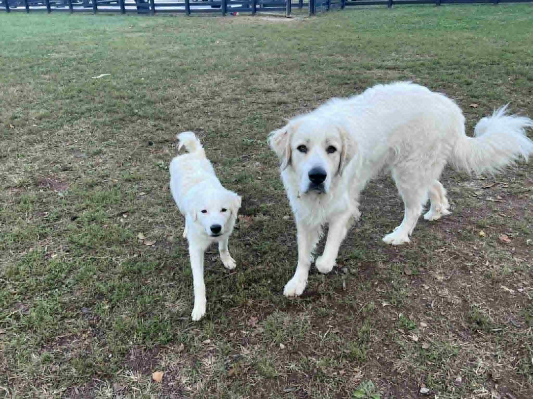 Patrick Brannon Memorial Dog Park