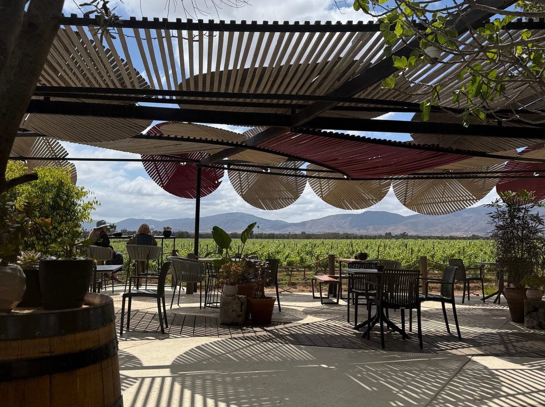 Monte Xanic Bodega Vinícola-Valle de Guadalupe必去景点