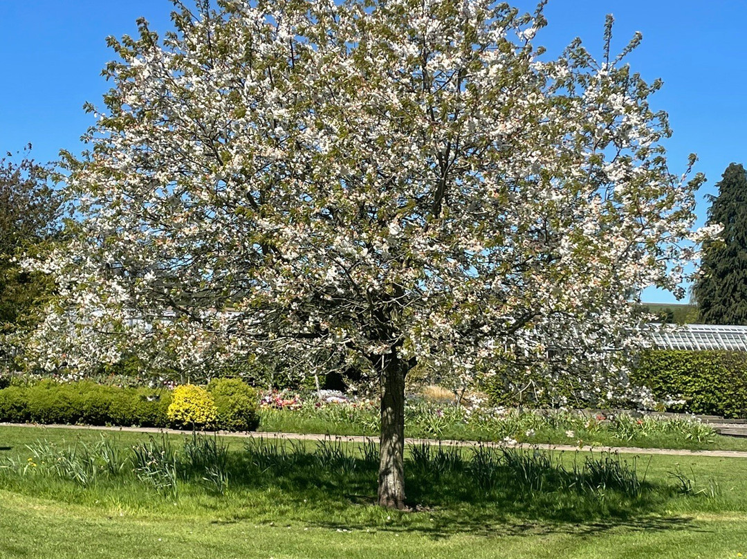 Helmsley Walled Garden-赫尔姆斯利必去景点