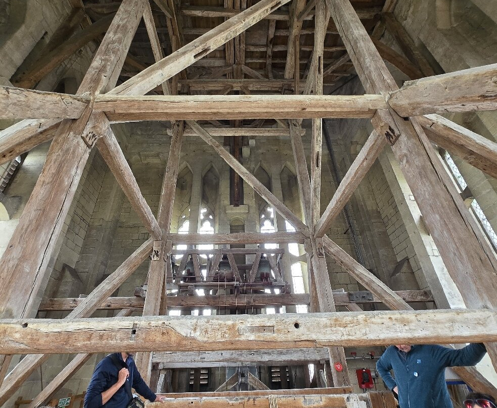 Salisbury Cathedral and Magna Carta-索尔兹伯里必去景点