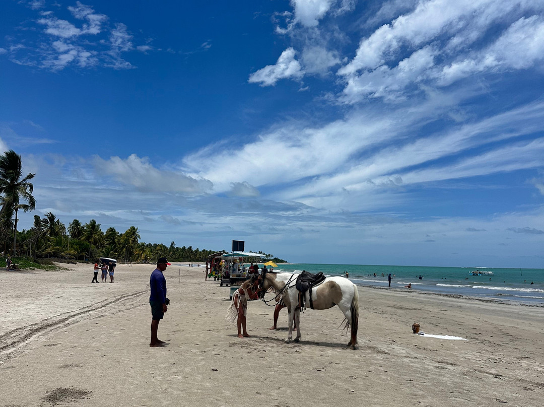Hibiscus Beach Club-Maceio必去景点