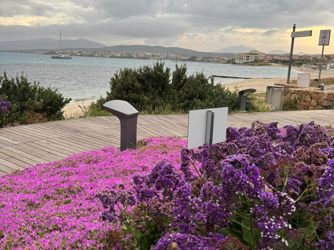 Lungomare Golfo Aranci la sirenetta-Golfo Aranci必去景点