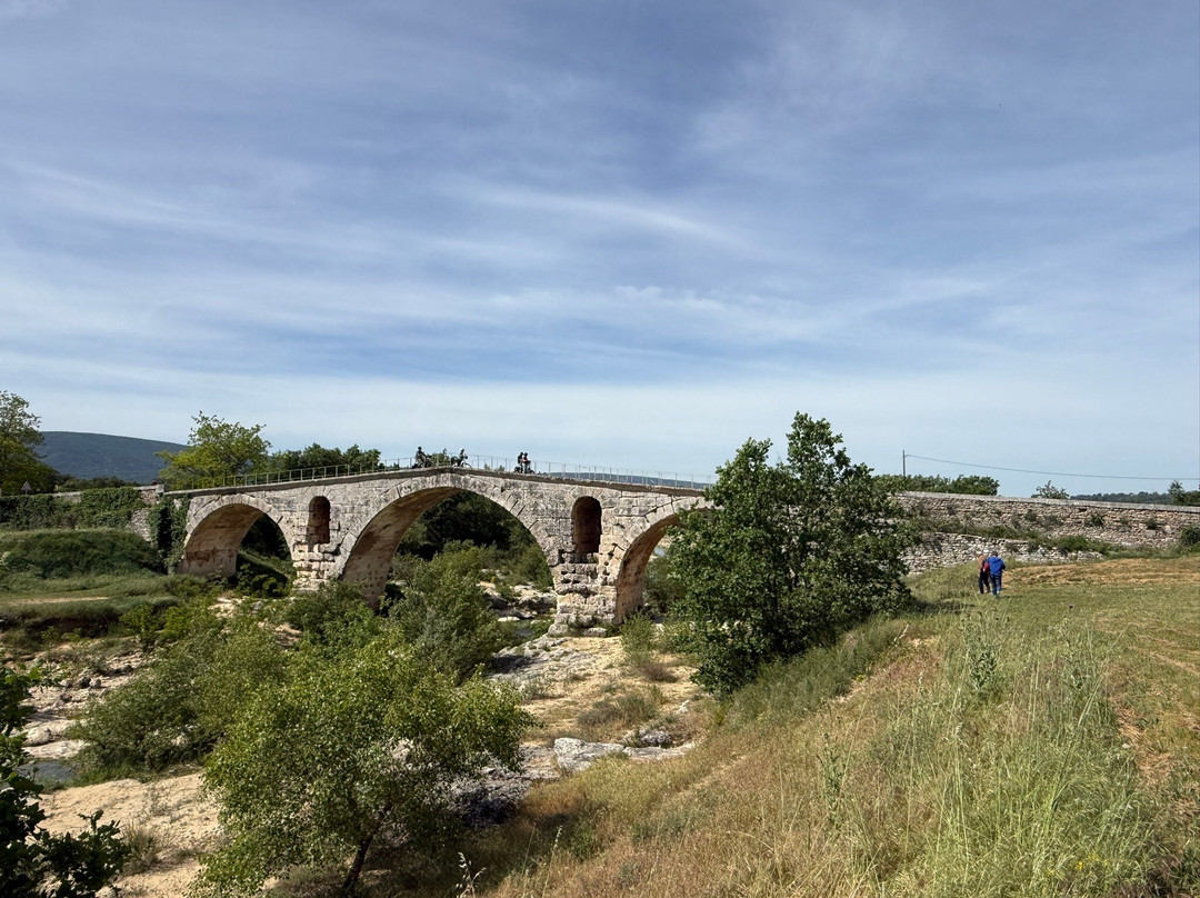 Provence Cycling Holidays主图