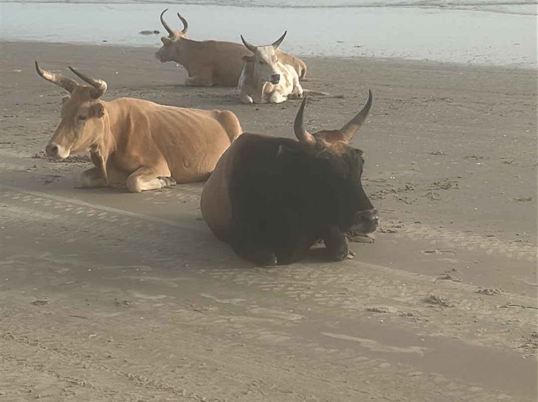 斯佳林海角地中海度假村主图