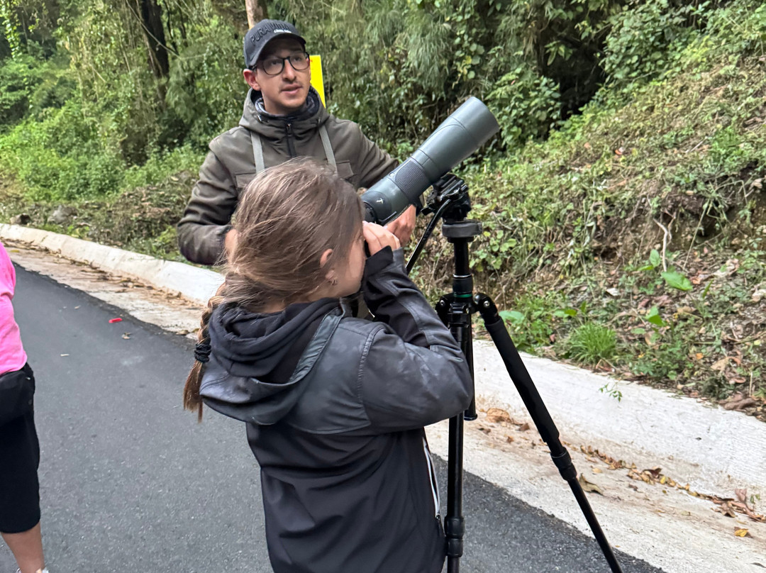 Highland Birds Tours-多塔圣赫拉多必去景点