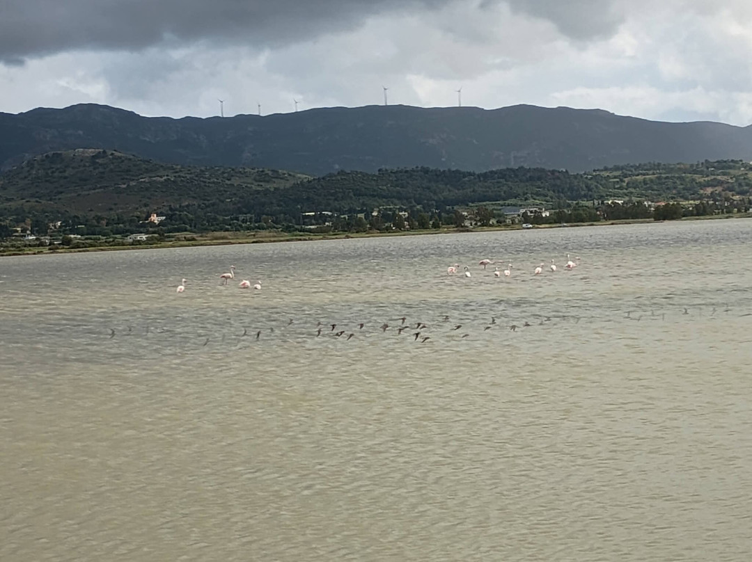 Alikes Salt Lakes Tigaki-Tigaki必去景点