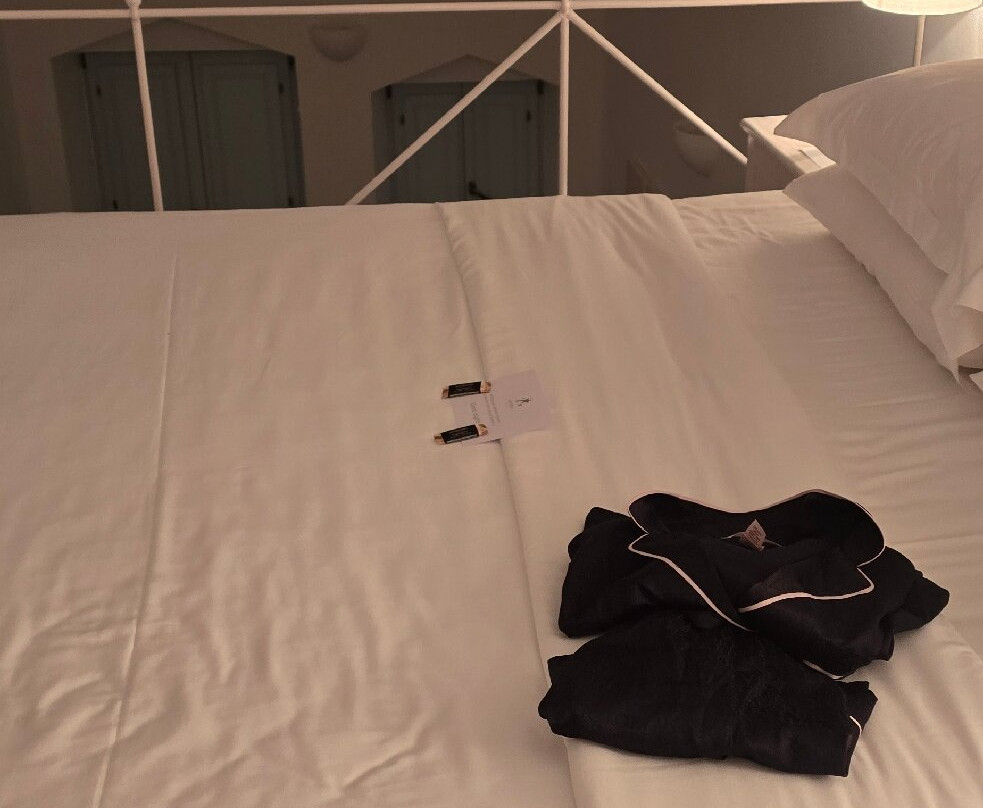 阿斯特拉套房酒店主图
