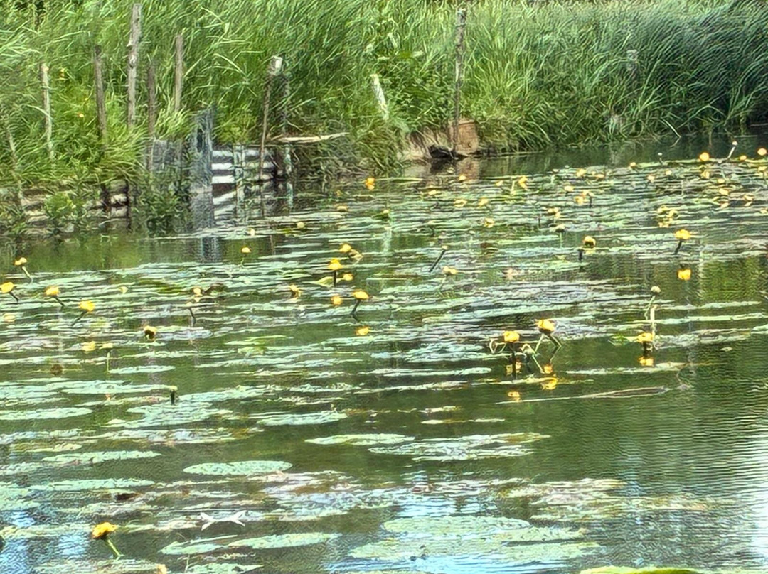 Le Marais de Bourges-布尔日必去景点