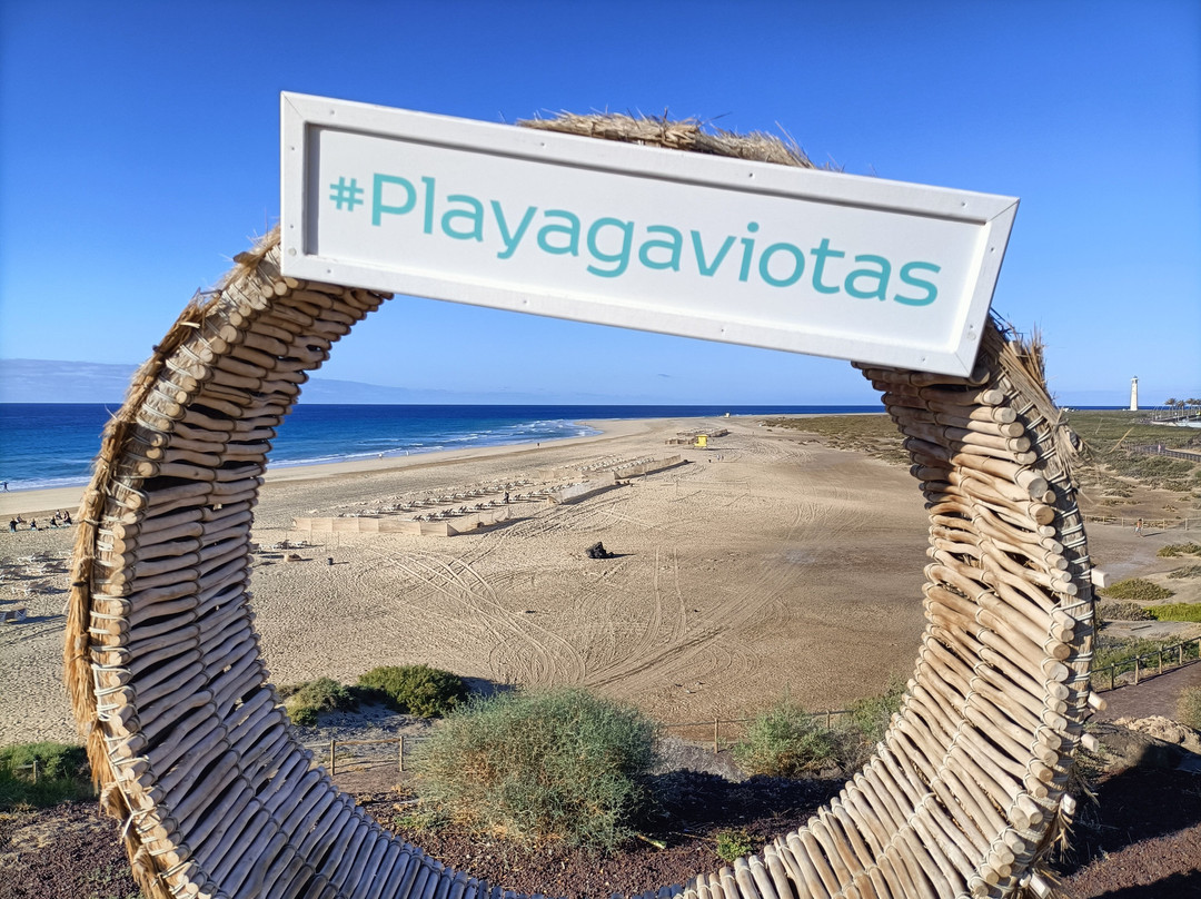 Iberostar Waves Gaviotas Park主图