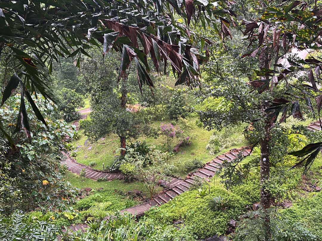 阿雅塔纳库尔格主图
