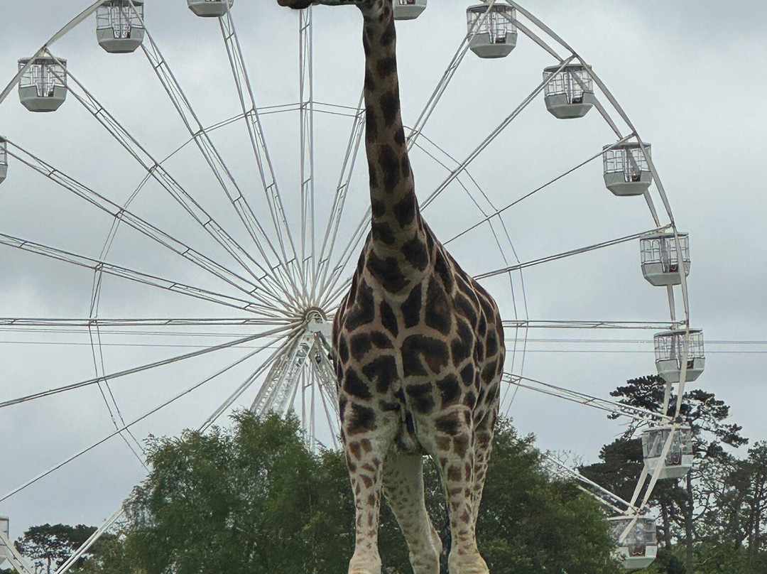 Fota Wildlife Park-Carrigtwohill必去景点