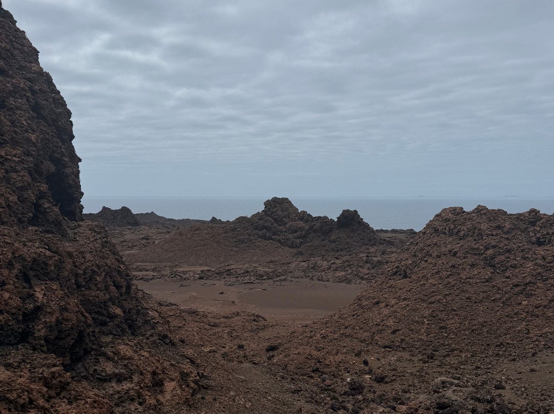 Go Galápagos Tours-Baltra必去景点