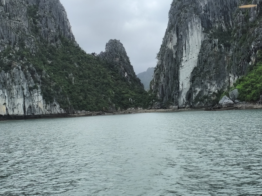 Hera Cruises Ha Long Bay-河内必去景点