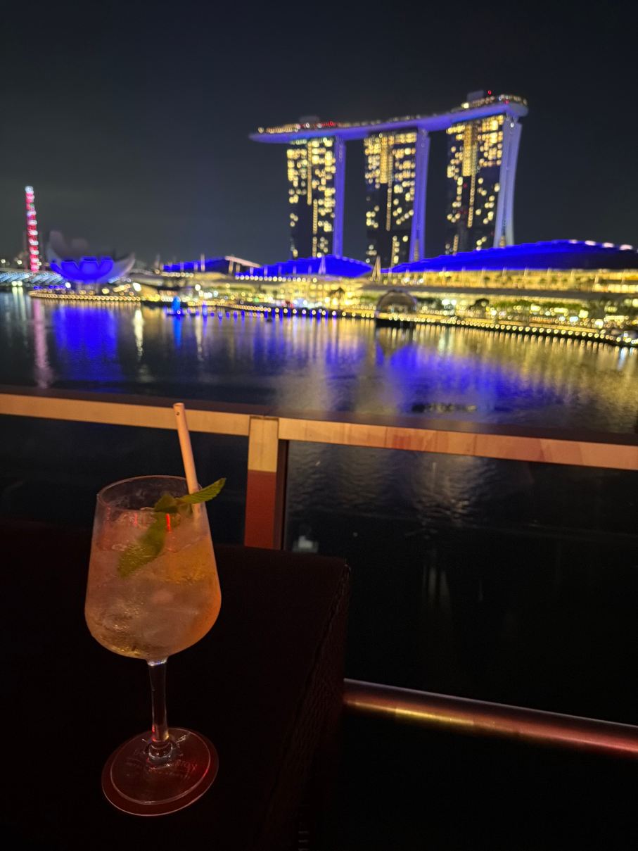 新加坡富丽敦海湾酒店-旅行者
