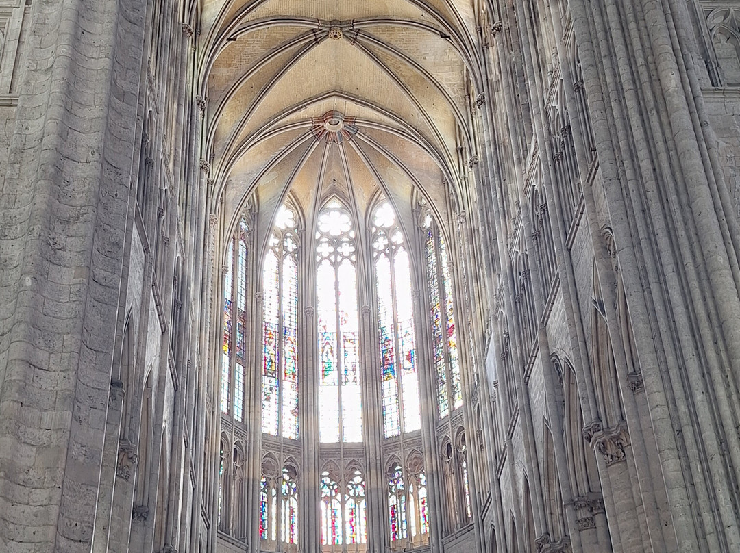 Cathédrale Saint-Pierre-博韦必去景点